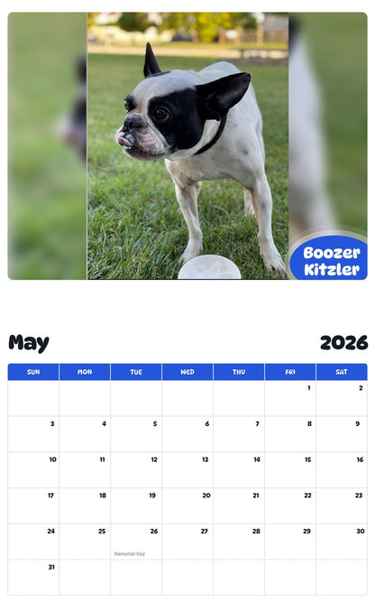 2026 - 2027 Boozer Kitzler - Pawidols Pet Calendar