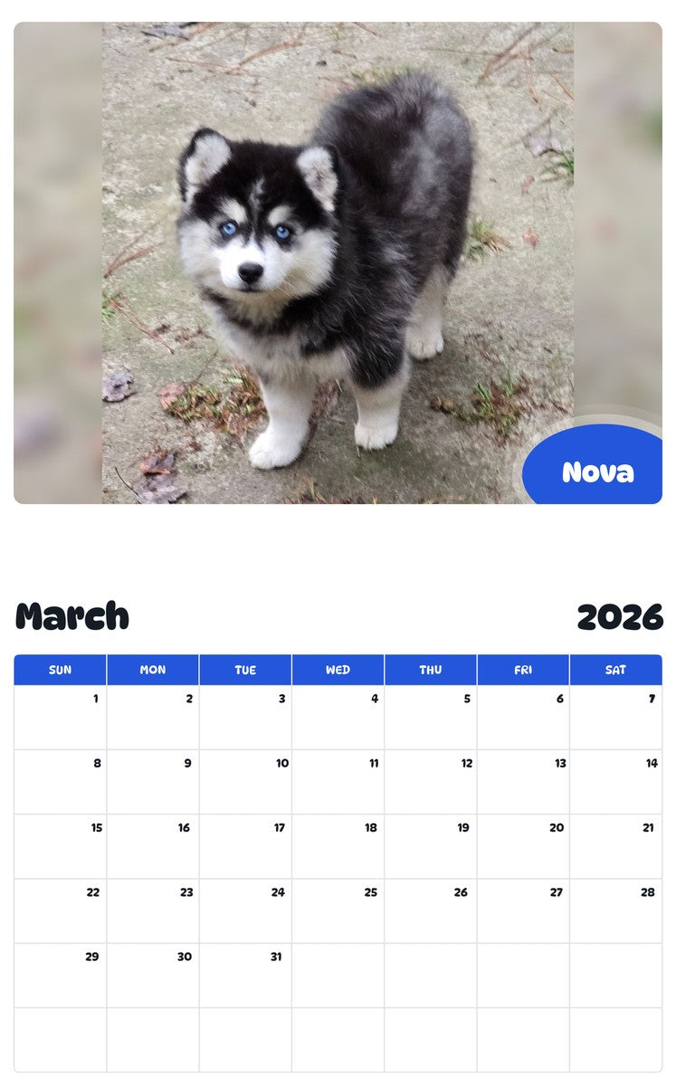 November 2025 - October 2026 Nova - Pawidols Pet Calendar