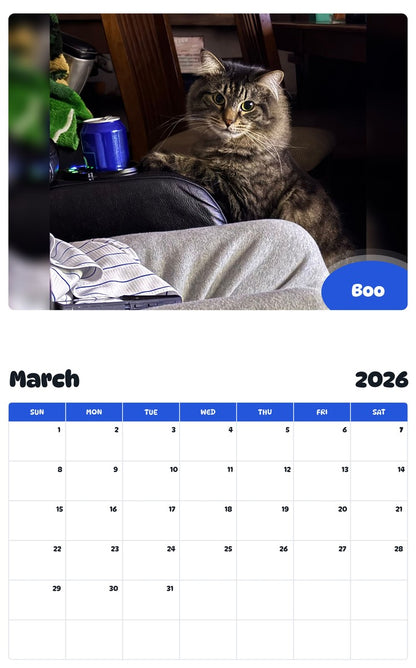 November 2025 - October 2026 Boo - Pawidols Pet Calendar