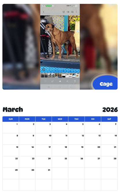 November 2025 - October 2026 Cage - Pawidols Pet Calendar