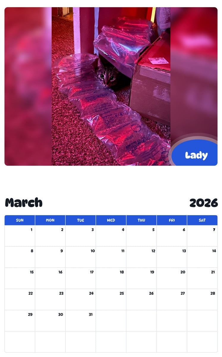 November 2025 - October 2026 Lady - Pawidols Pet Calendar