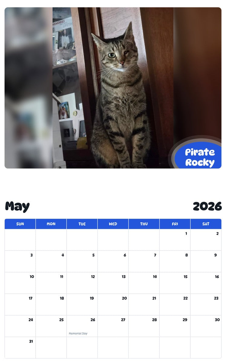 2026 - 2027 Pirate Rocky - Pawidols Pet Calendar