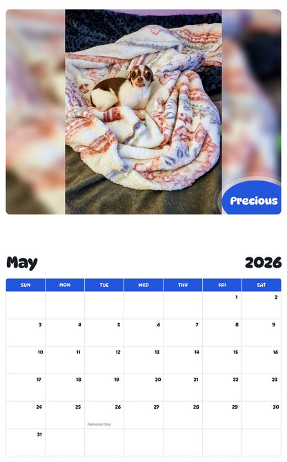 2026 - 2027 Precious - Pawidols Pet Calendar