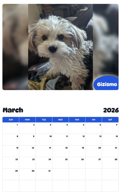 November 2025 - October 2026 Gizismo - Pawidols Pet Calendar