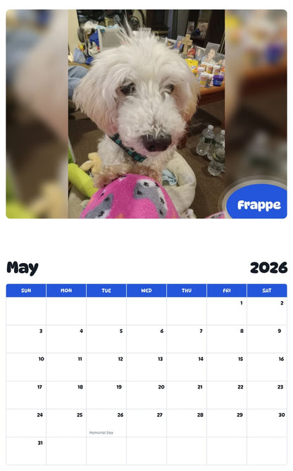 2026 - 2027 Frappe - Pawidols Pet Calendar