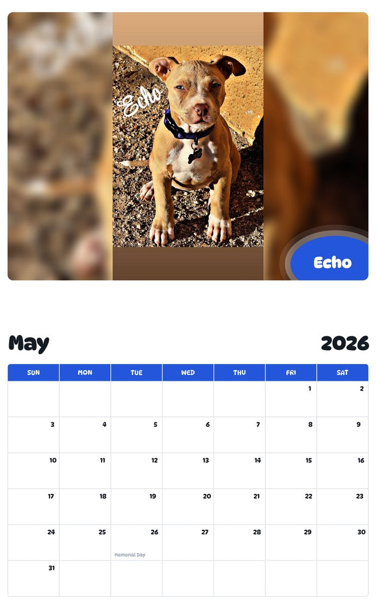 2026 - 2027 Echo - Pawidols Pet Calendar
