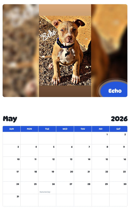 2026 - 2027 Echo - Pawidols Pet Calendar