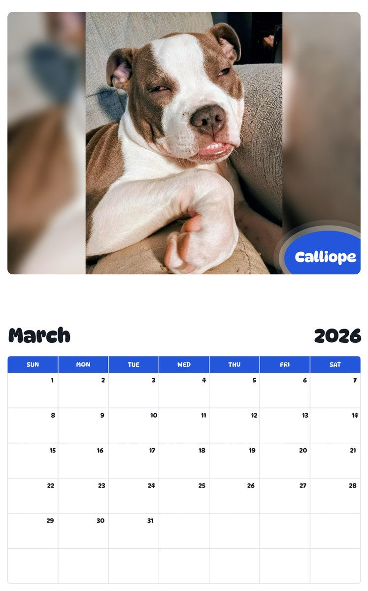 November 2025 - October 2026 Calliope - Pawidols Pet Calendar