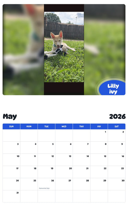 2026 - 2027 Lilly ivy - Pawidols Pet Calendar