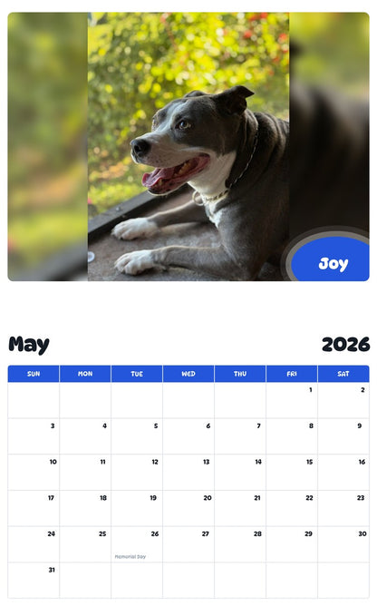 2026 - 2027 Joy - Pawidols Pet Calendar