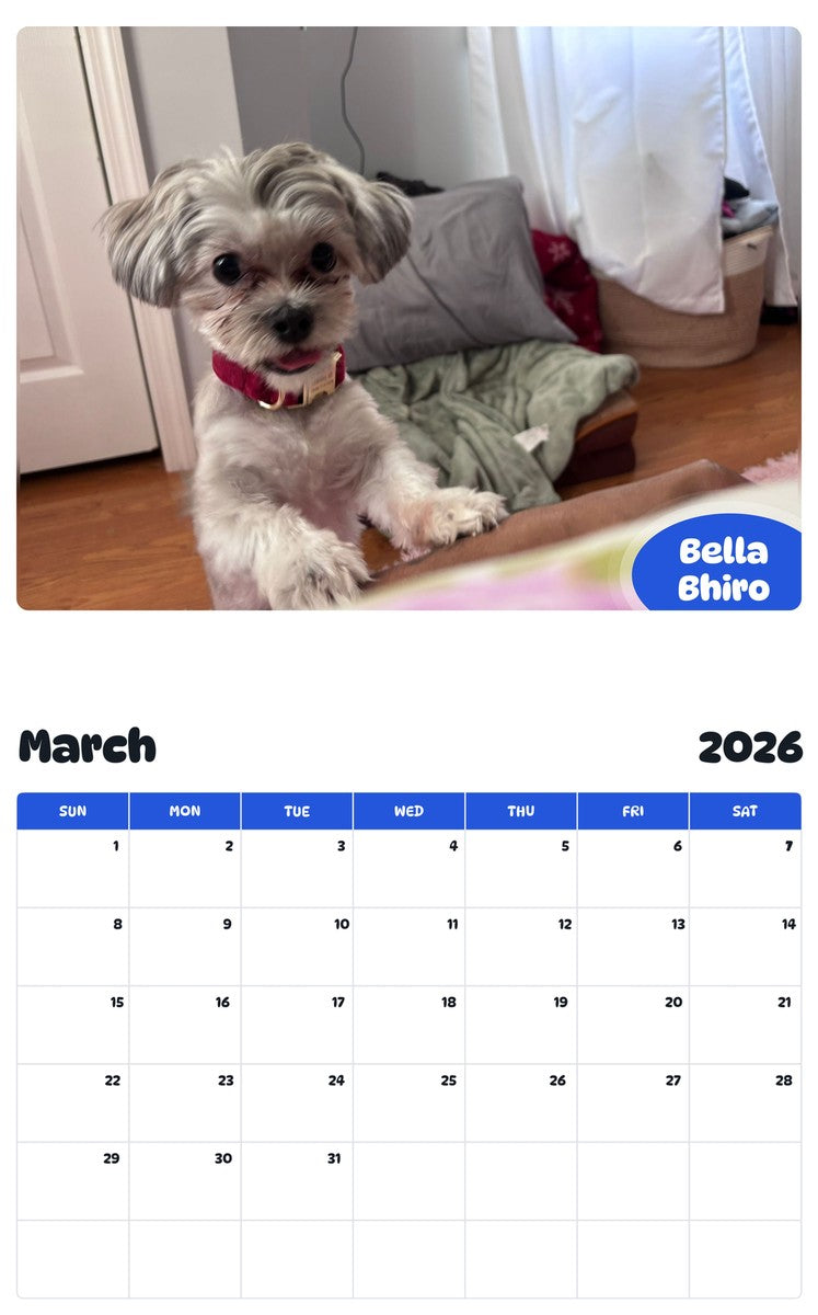 November 2025 - October 2026 Bella Bhiro - Pawidols Pet Calendar