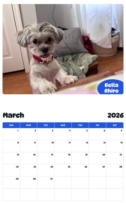 November 2025 - October 2026 Bella Bhiro - Pawidols Pet Calendar