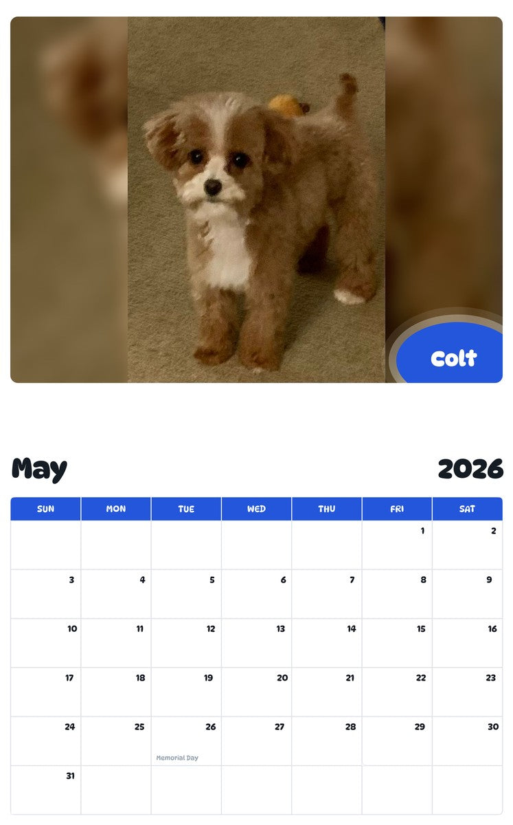 2026 - 2027 Colt - Pawidols Pet Calendar