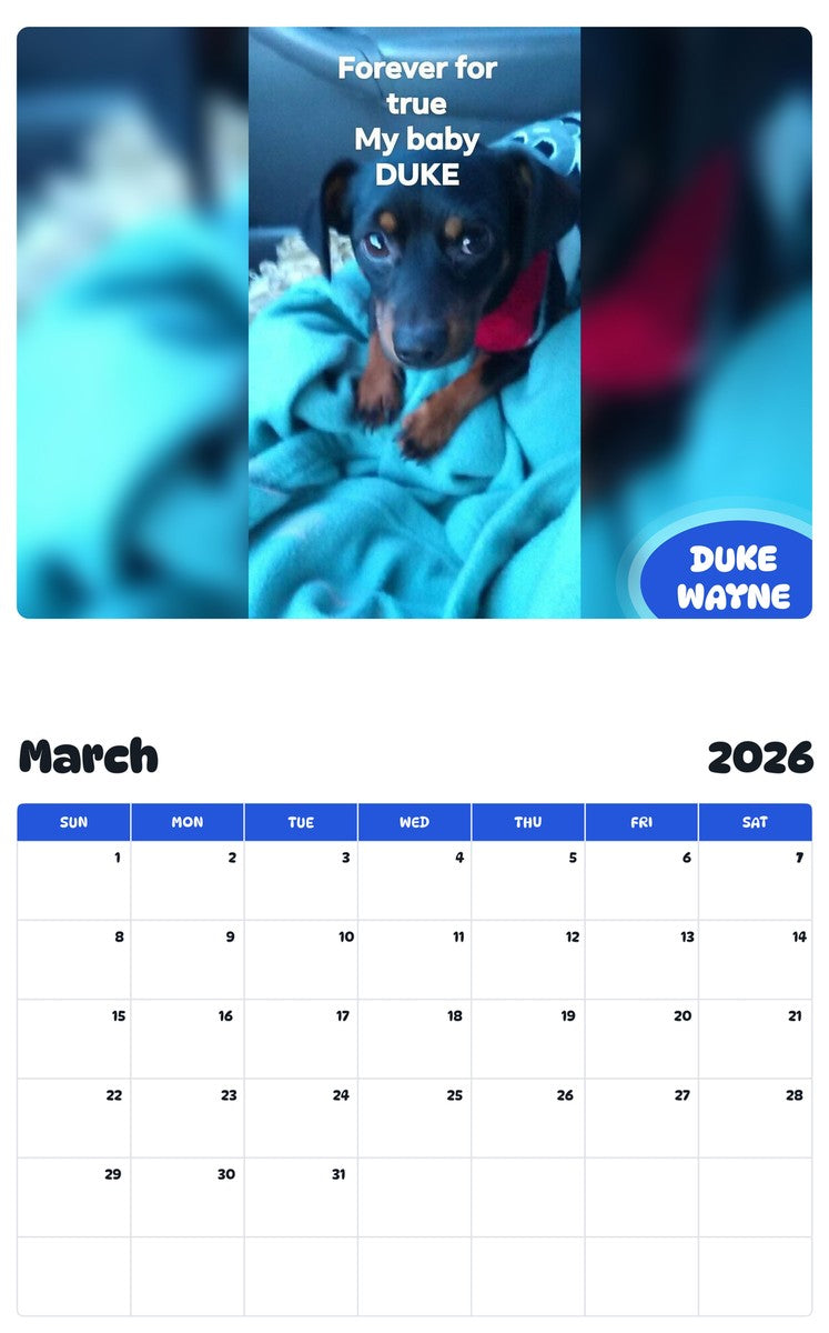 November 2025 - October 2026 DUKE WAYNE - Pawidols Pet Calendar