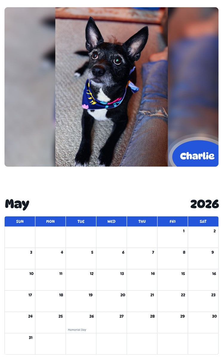 2026 - 2027 Charlie - Pawidols Pet Calendar