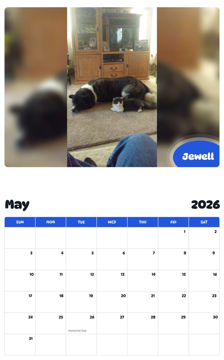 2026 - 2027 Jewell - Pawidols Pet Calendar
