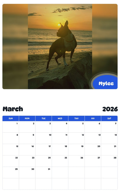 November 2025 - October 2026 Mylee - Pawidols Pet Calendar