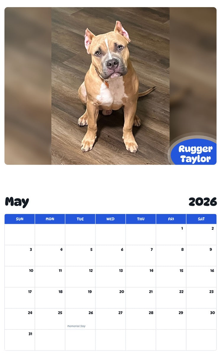 2026 - 2027 Rugger Taylor - Pawidols Pet Calendar
