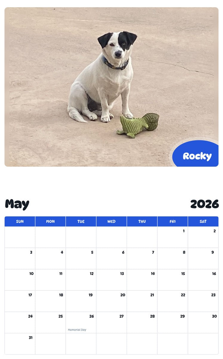 2026 - 2027 Rocky - Pawidols Pet Calendar