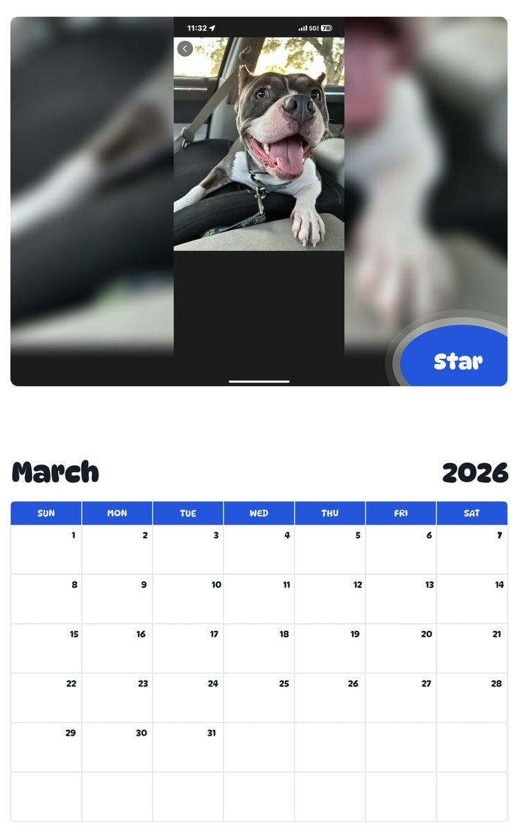 November 2025 - October 2026 Star - Pawidols Pet Calendar