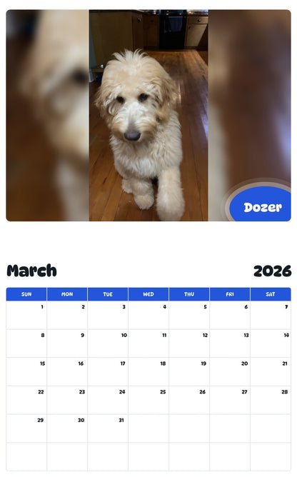 November 2025 - October 2026 Dozer - Pawidols Pet Calendar