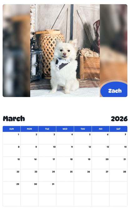 November 2025 - October 2026 Zach - Pawidols Pet Calendar