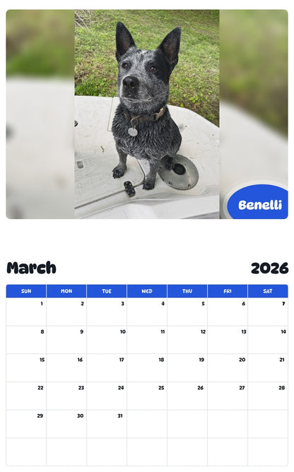 November 2025 - October 2026 Benelli - Pawidols Pet Calendar
