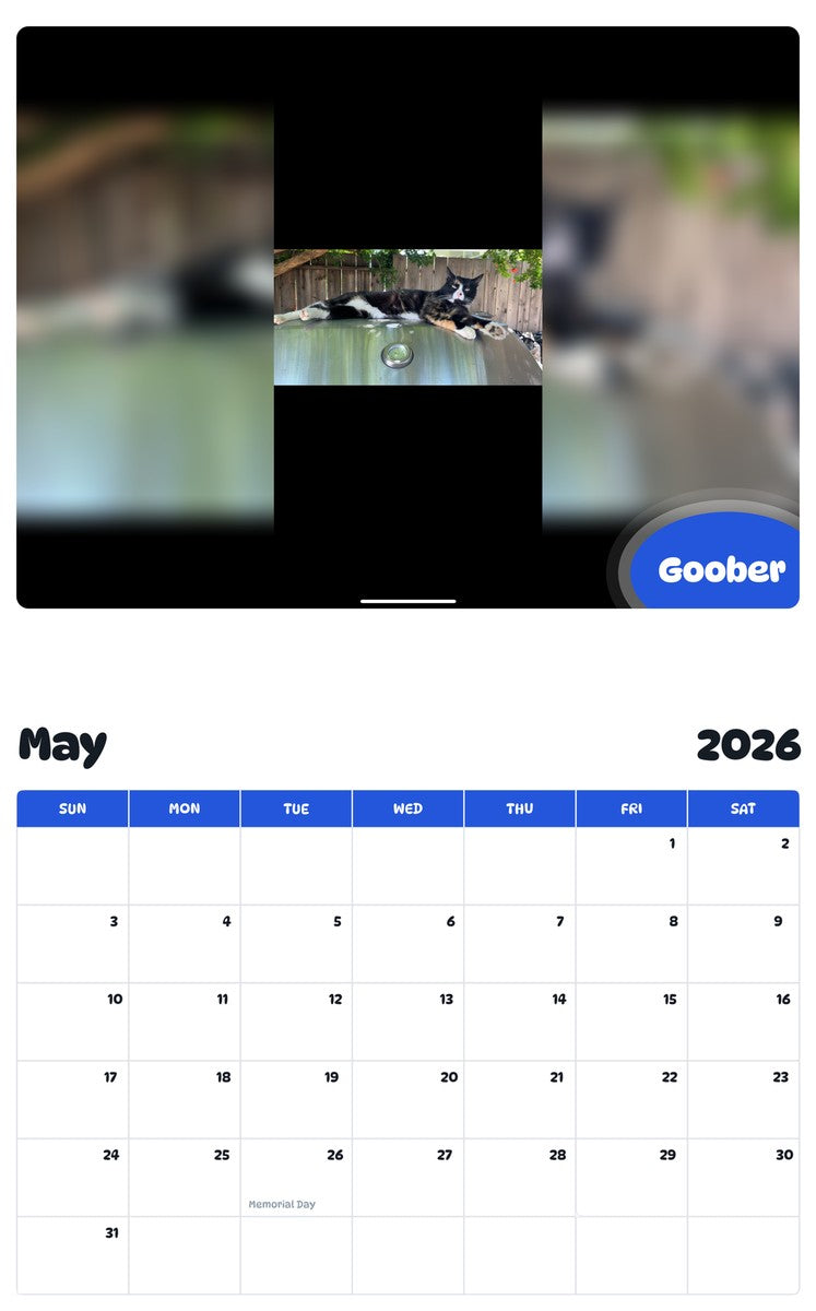 2026 - 2027 Goober - Pawidols Pet Calendar