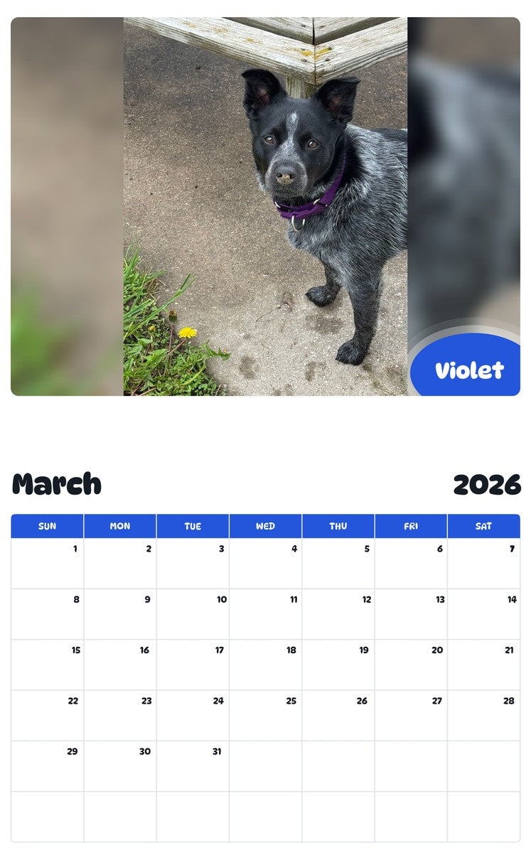 November 2025 - October 2026 Violet - Pawidols Pet Calendar