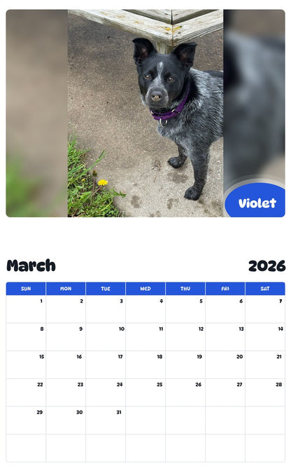 November 2025 - October 2026 Violet - Pawidols Pet Calendar