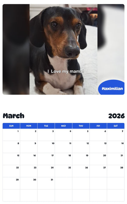 November 2025 - October 2026 Maximilian - Pawidols Pet Calendar