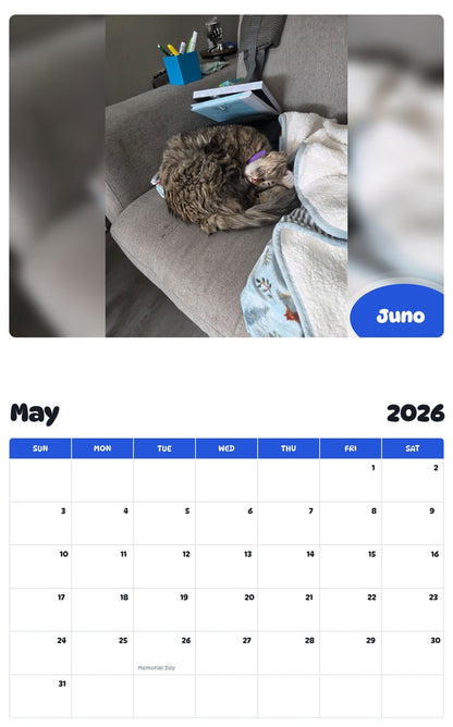 2026 - 2027 Juno - Pawidols Pet Calendar