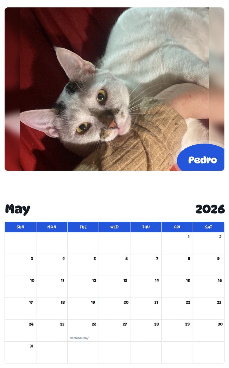 2026 - 2027 Pedro - Pawidols Pet Calendar