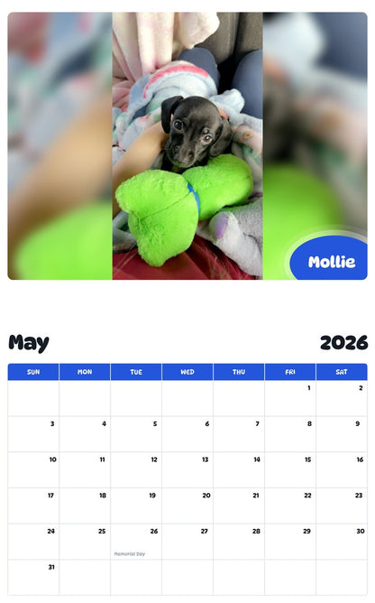 2026 - 2027 Mollie - Pawidols Pet Calendar