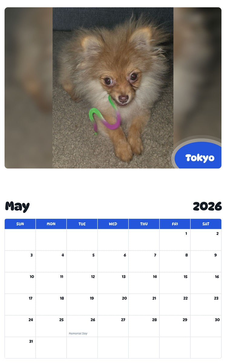 2026 - 2027 Tokyo - Pawidols Pet Calendar