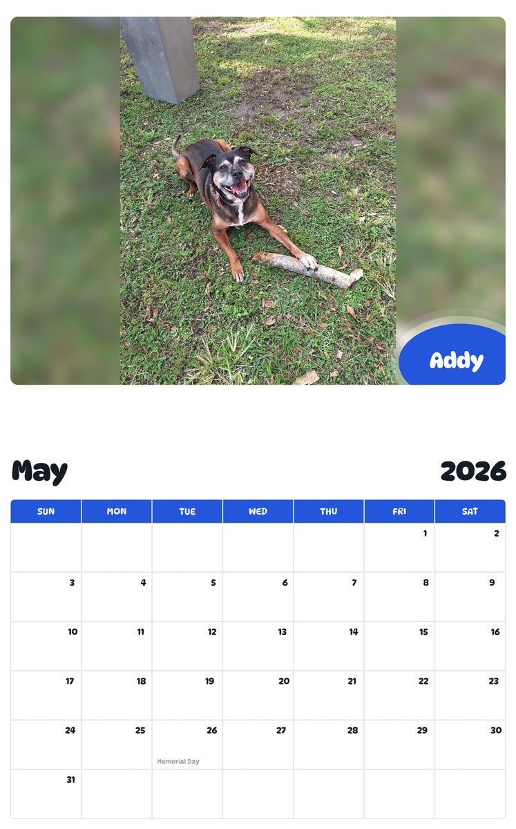 2026 - 2027 Addy - Pawidols Pet Calendar