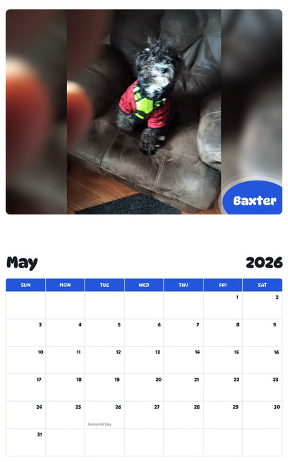 2026 - 2027 Baxter - Pawidols Pet Calendar