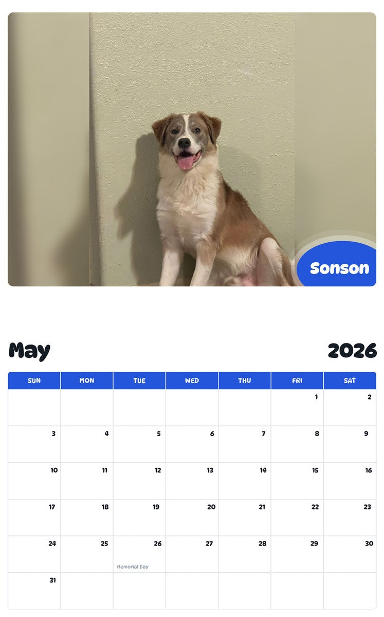 2026 - 2027 Sonson - Pawidols Pet Calendar