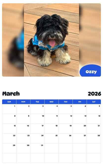 November 2025 - October 2026 Ozzy - Pawidols Pet Calendar