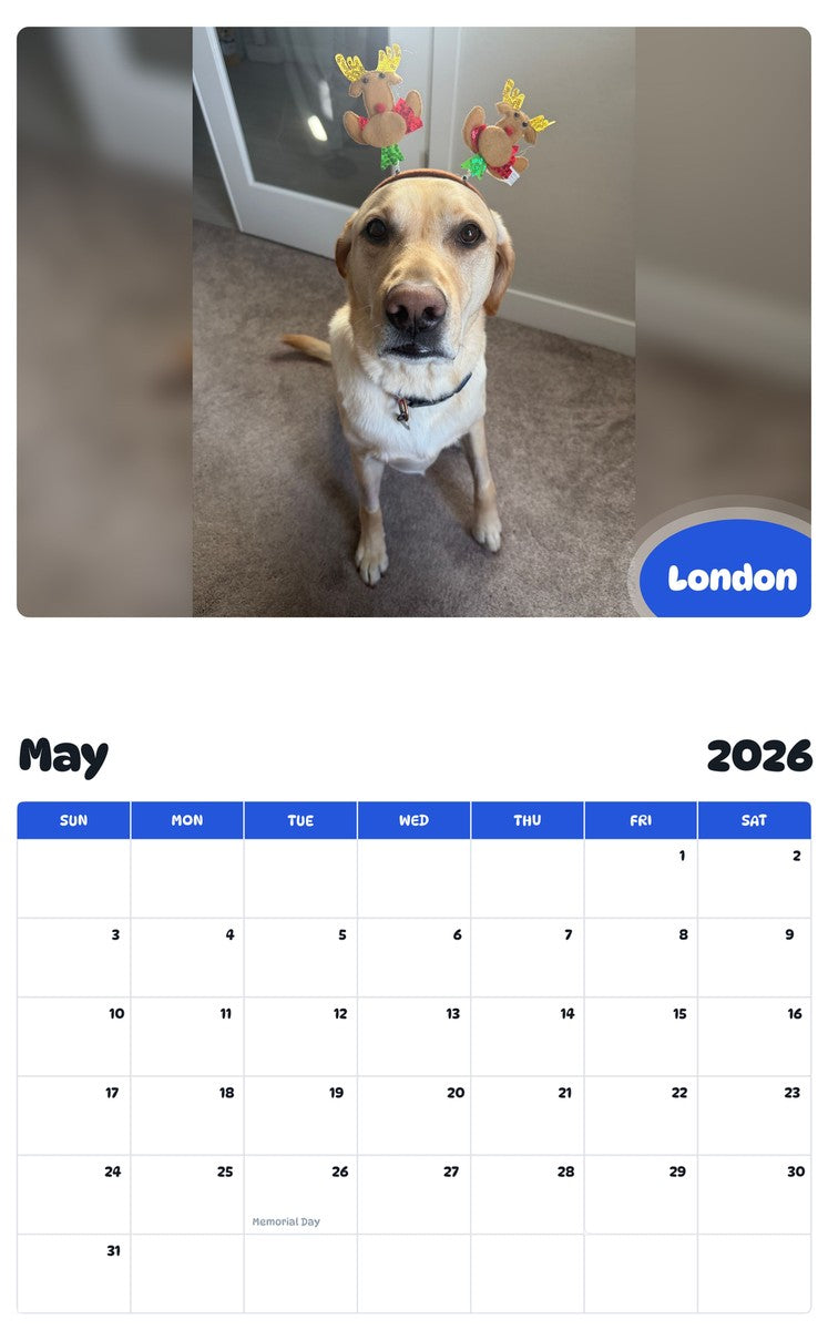 2026 - 2027 London - Pawidols Pet Calendar