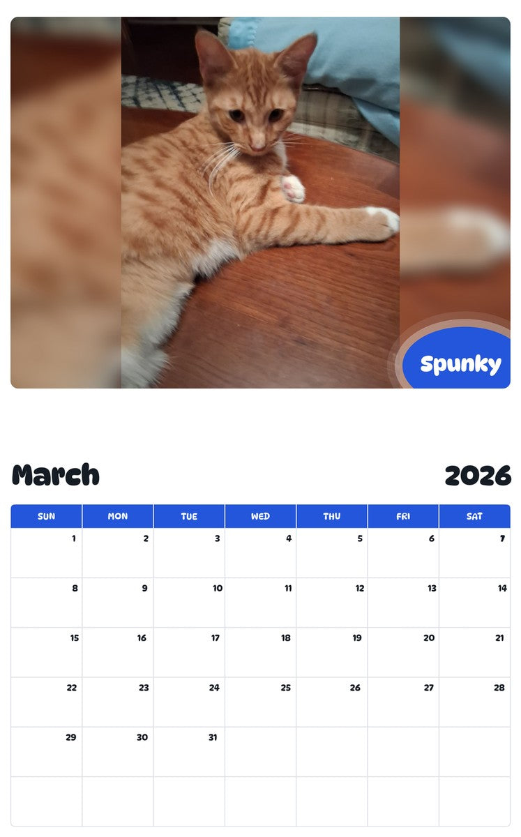 November 2025 - October 2026 Spunky - Pawidols Pet Calendar