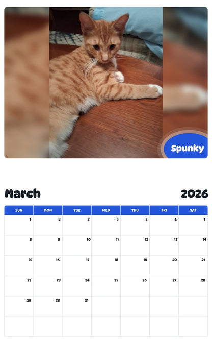 November 2025 - October 2026 Spunky - Pawidols Pet Calendar