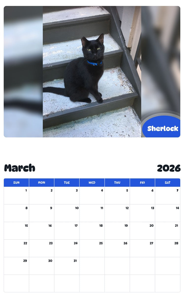 November 2025 - October 2026 Sherlock - Pawidols Pet Calendar