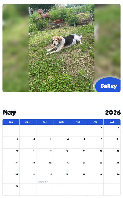 2026 - 2027 Bailey - Pawidols Pet Calendar