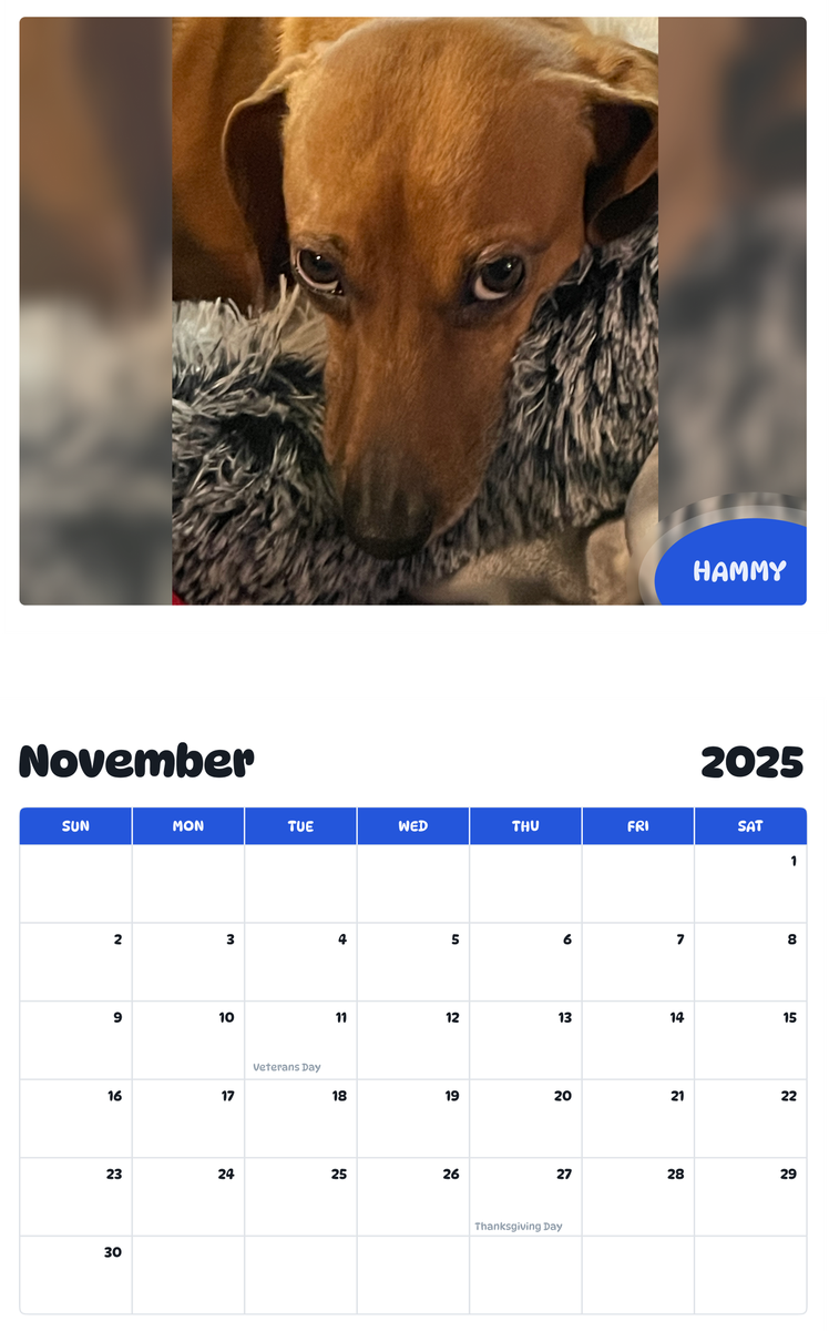 July 2025 - June 2026 Hammy - Pawidols Pet Calendar