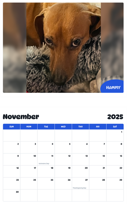 July 2025 - June 2026 Hammy - Pawidols Pet Calendar