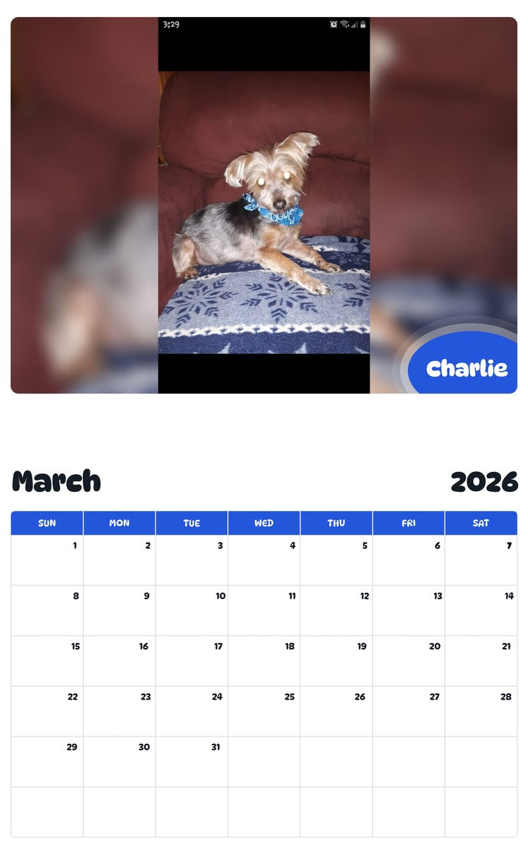 November 2025 - October 2026 Charlie - Pawidols Pet Calendar