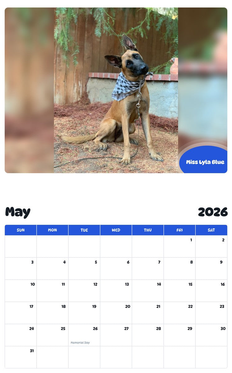 2026 - 2027 Miss Lyla Blue - Pawidols Pet Calendar