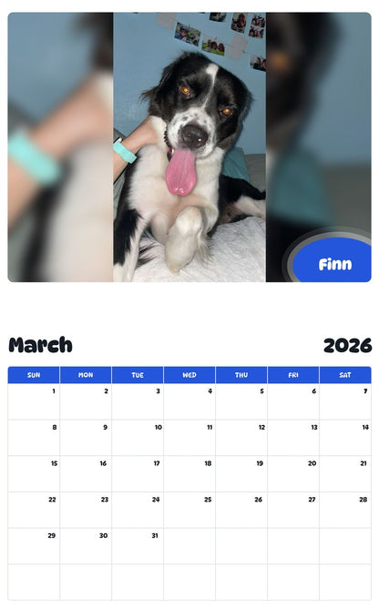 November 2025 - October 2026 Finn - Pawidols Pet Calendar