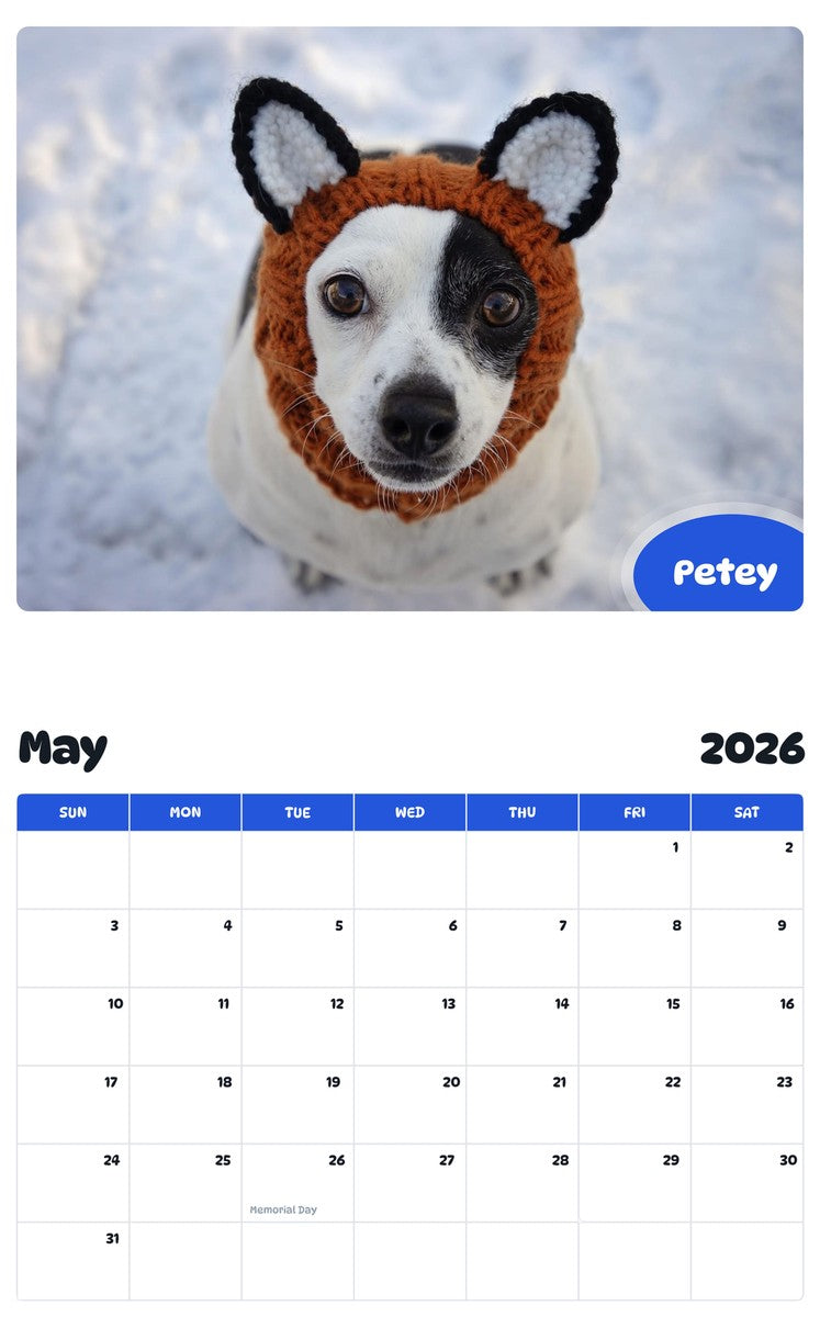 2026 - 2027 Petey - Pawidols Pet Calendar
